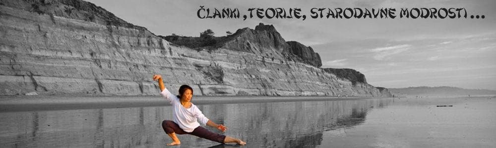 TAI CHI IN QIGONG ŠOLA ARTELIS, LJUBLJANA