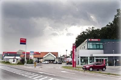 TRGOVINA IN SERVIS LADKO PETRETIČ, KOSTANJEVICA NA KRKI