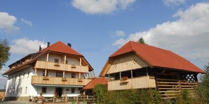 TURISTIČNA KMETIJA NOVAK, DVOR