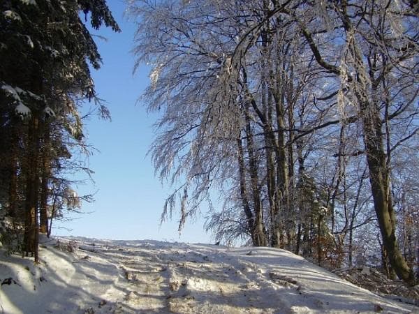 TURISTIČNA KMETIJA DAVČEN, ŽABJA VAS