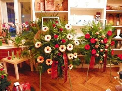SLOVENSKO POREKLO, BOŽIČNA ZVEZDA, SADIKE VRTNIC, VCT RAMOVŠ - PEKLAR  VRTNARSTVO IN CVETLIČARSTVO,