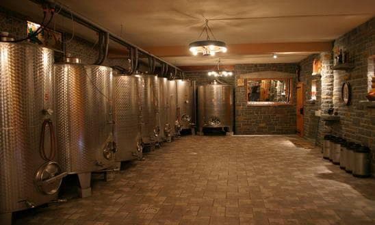 VINA JEJČIČ, VINARSTVO JEJČIČ, BRANIK