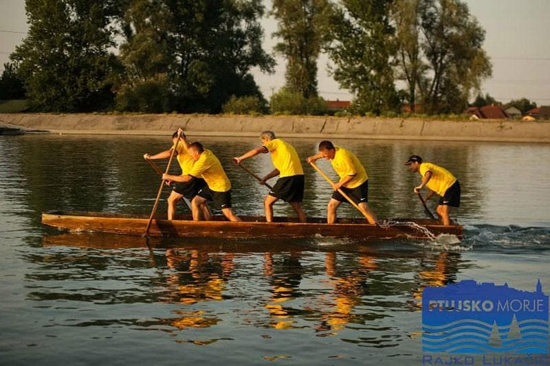 PTUJSKO MORJE, TURISTIČNA LADJA, JADRANJE, VESLAŠKA REGATA, RADIAL PTUJ
