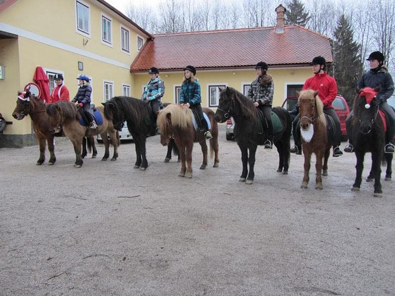 JAHALNI KLUB ROŽNIK, LJUBLJANA