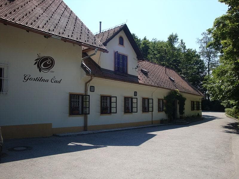 JEDI Z ŽARA IN RAŽNJA, DOBRA GOSTILNA, PROSTOR ZA 120 OSEB - GOSTILNA ČAD, LJUBLJANA