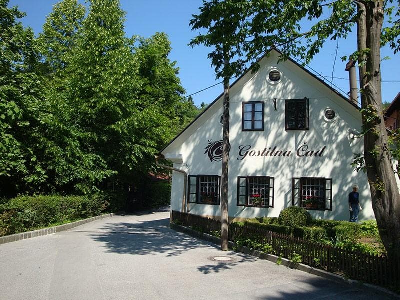 JEDI Z ŽARA IN RAŽNJA, DOBRA GOSTILNA, PROSTOR ZA 120 OSEB - GOSTILNA ČAD, LJUBLJANA