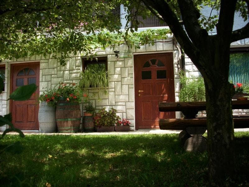 APARTMAJI TOLMIN, ŽABCE, APARTMAJI SAVAN