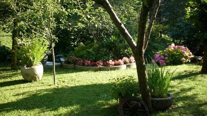 APARTMAJI TOLMIN, ŽABCE, APARTMAJI SAVAN