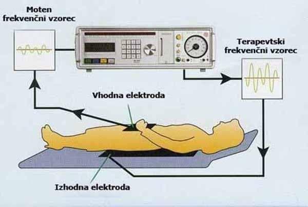 BIOMEDIKA KOZMETIČNI SALON DARJA KRISTAN S.P., ŠMARTNO PRI SLOVENJ GRADCU