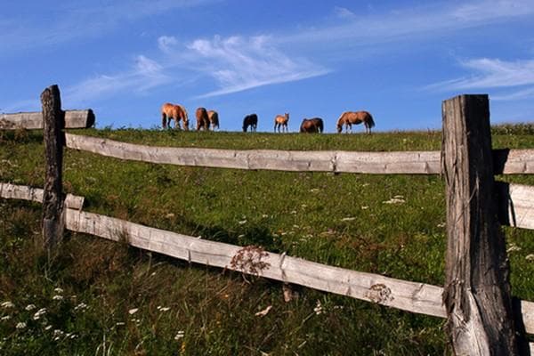 DOMAČIJA FIRBAS, CERKVENJAK
