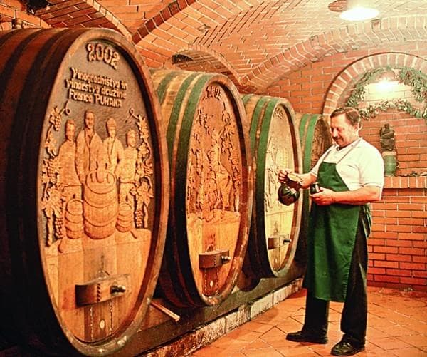 IZLETNIŠKA KMETIJA VINARIUM, BOGOJINA