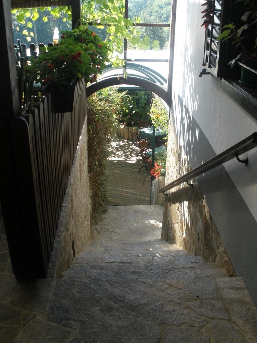 IZLETNIŠKA KMETIJA VINARIUM, BOGOJINA