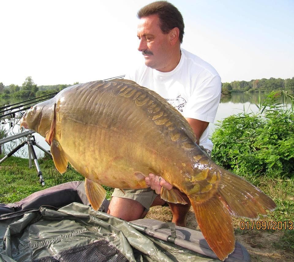 PROCARPER, SREČKO VOLČANJK S.P., BREŽICE