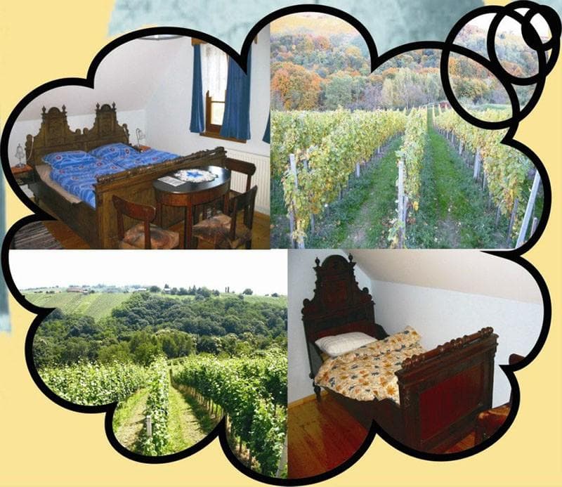 TURISTIČNA KMETIJA DERVARIČ, PRENOČIŠČA, DOMAČA BUTELJČNA VINA, KONOPLJINO, LANENO, BUČNO OLJE