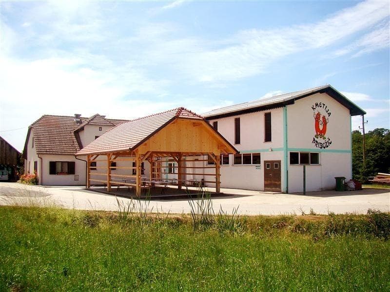 VINA, NAKUP MESNIH IZDELKOV - SVEŽE MESO, SUHO MESO, MESO ZA ŽAR, MESO ZA KUHANJE, KMETIJA PRIBOŽIČ,