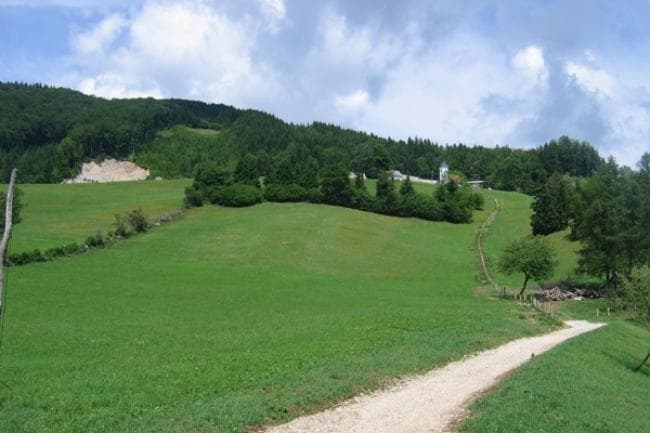 DOMAČE DOBROTE, UREJENA PRENOČIŠČA, PROSTOR ZA ZAKLJUČENE DRUŽBE - TURISTIČNA KMETIJA PR DOVAR, CERK