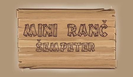 MUZEJ KMEČKE OPREME, ROJSTNI DAN ZA OTROKA, ŽIVALSKI VRT - MINI RANČ ŠEMPETER