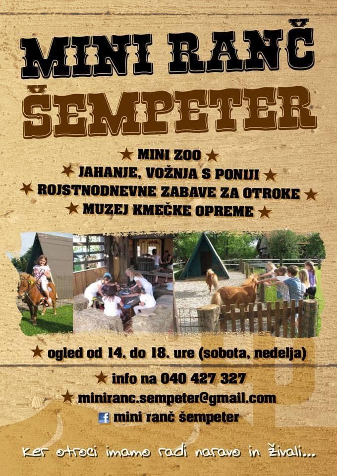 MUZEJ KMEČKE OPREME, ROJSTNI DAN ZA OTROKA, ŽIVALSKI VRT - MINI RANČ ŠEMPETER
