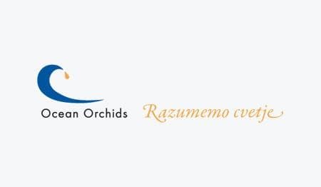 OCEAN ORCHIDS, DOBROVNIK