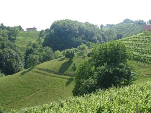 TURISTIČNA KMETIJA KOZARČAN, ROŠKAR FRANC, CIRKULANE V HALOZAH, BLIZU PTUJA