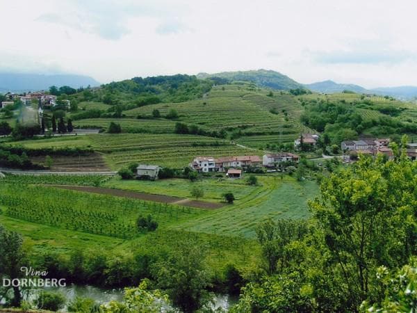 VINA DORNBERG, DORNBERK