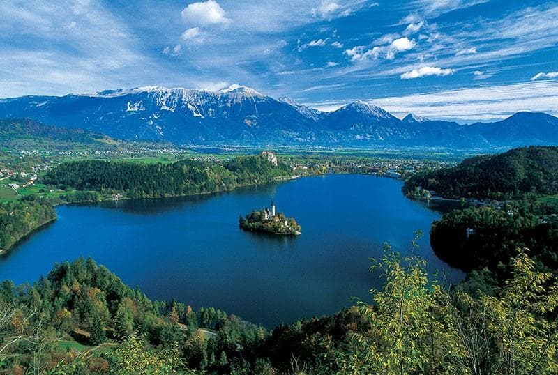 KOMPAS, BLED
