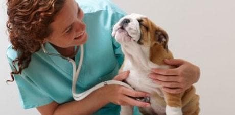 VETERINARSKA POSTAJA LJUBLJANA