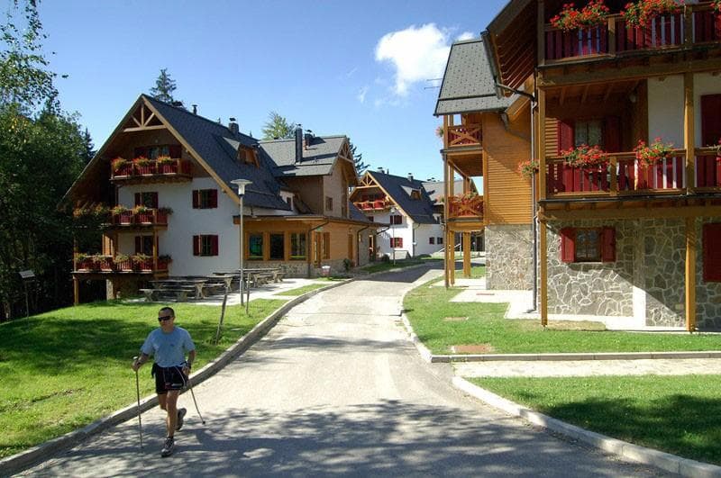 APARTMAJI BOLFENK, POHORJE