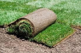 VRTNARSTVO CARPINUS, CERKLJE OB KRKI