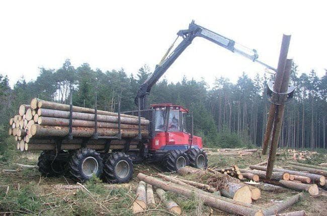 HOLCER, STRAŽA