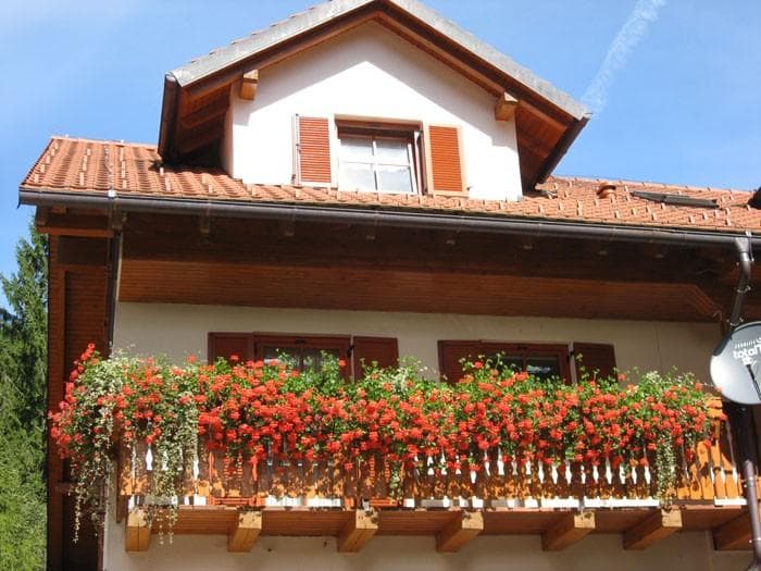 TURISTIČNA KMETIJA STOGLEJ, LUČE