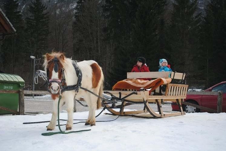 SOBE IN APARTMAJI, ERLAH, PODJETJE ZA GOSTINSTVO,TURIZEM IN LESNO DEJAVNOST, D.O.O., SREDNJA VAS V B