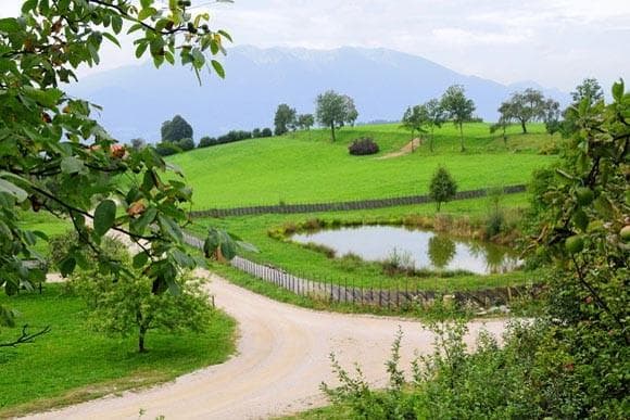 APARTMAJI, EKOLOŠKO TURISTIČNA KMETIJA MIKL, PREVALJE