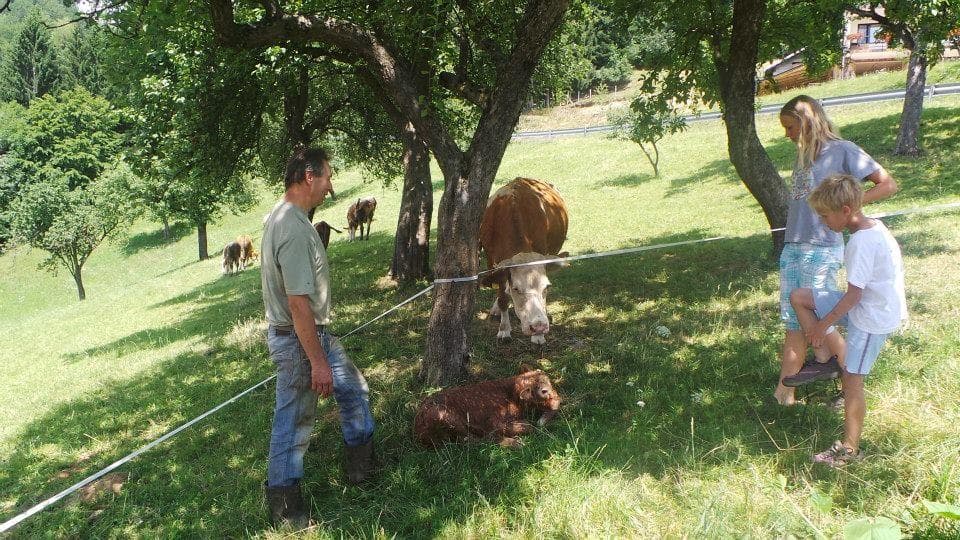 TURISTIČNA KMETIJA RAVNIČAN, ZREČE