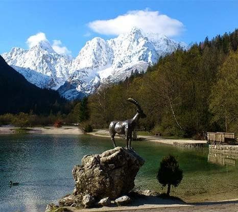 APARTMAJI MILENA, KRANJSKA GORA