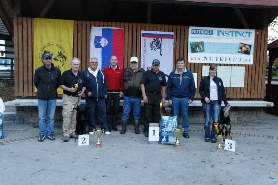 TEČAJ ŠOLANJA PSOV, PASJA ŠOLA, REŠEVALNI PSI, RAZSTAVA VSEH PASEM, KINOLOŠKO DRUŠTVO BARJE, LJUBLJA