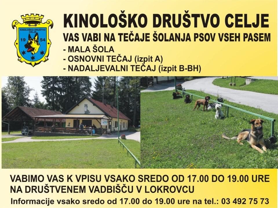 KINOLOŠKO DRUŠTVO CELJE