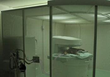 VETERINARSTVO TRSTENJAK - ZAJC, LJUBLJANA