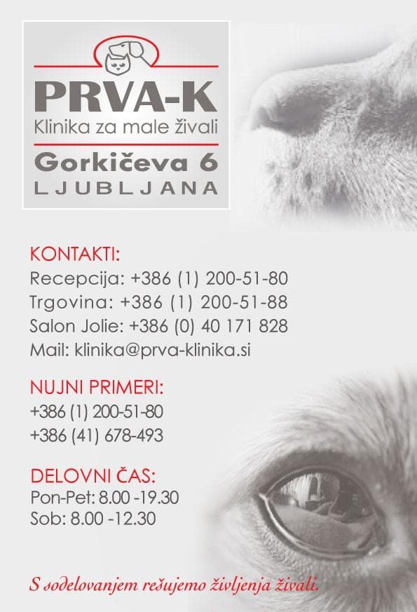 KLINIKA ZA MALE ŽIVALI VIČ