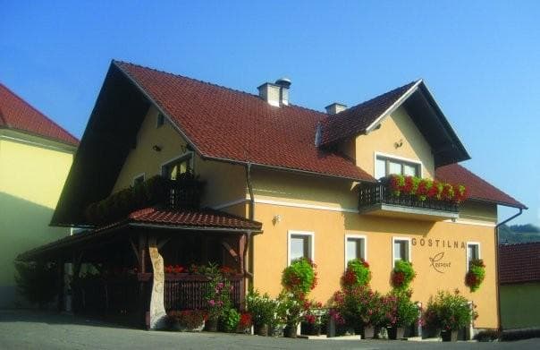 GOSTILNA IN TRGOVINA REPOVŽ ŠENTJANŽ