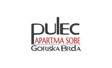 APARTMA IN SOBE, VRT, SADOVNJAK IN VINOGRAD, TERASA, MEDANA, DOBROVO V BRDIH, PULEC