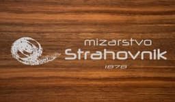 MIZARSTVO CELJE logo