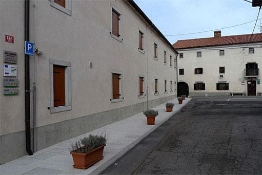 DOMAČIJA MUHA LOKEV