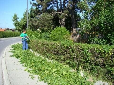 UREJANJE PARKOV IN VRTOV RAJKO ELERŠEK, MEDVODE