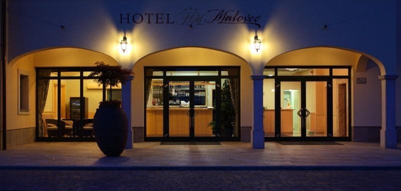 HOTEL MALOVEC, DIVAČA
