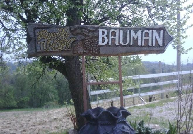 IZLETNIŠKA KMETIJA BAUMAN, SV. ANA V SLOVENSKIH GORICAH