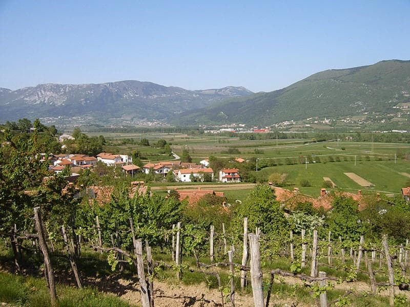 KMETIJA Z NASTANITVIJO PILIH, VIPAVA