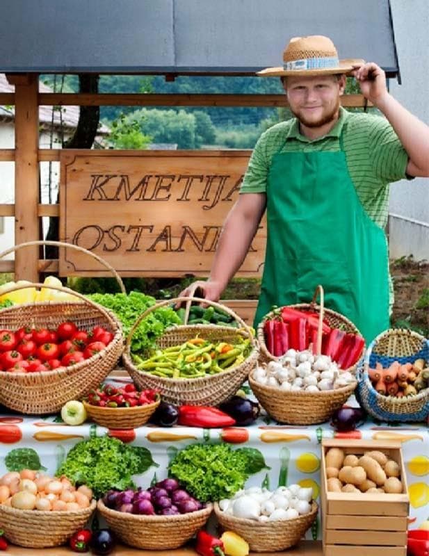 KMETIJA OSTANEK, ŠENTVID PRI STIČNI