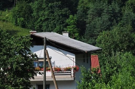 SLIKOPLESKARSTVO ALOJZ LISEC, SEVNICA