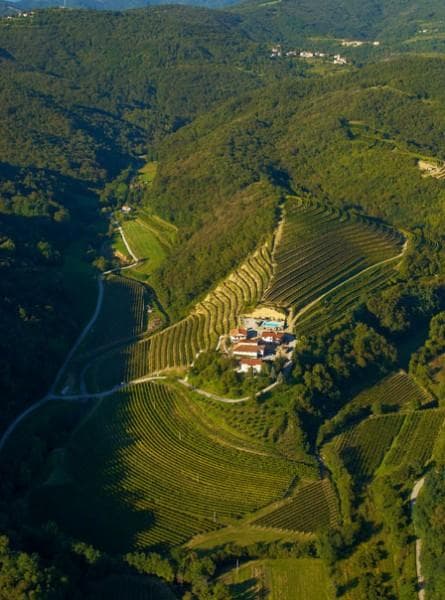 VINOGRADNIŠTVO IN VINARSTVO ČARGA, DOBROVO V BRDIH